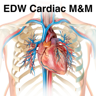 2025 EDW Cardiac M&M (RSS) Banner